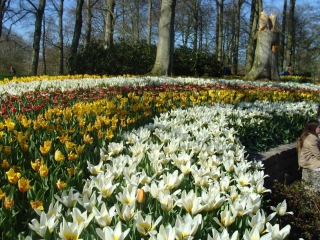 Keukenhof 2017 Bloem bed 13