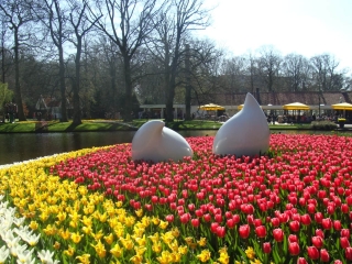 Keukenhof 2017 Bloembed met schuimpjes