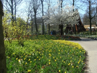 Keukenhof 2017 Boompje en boot