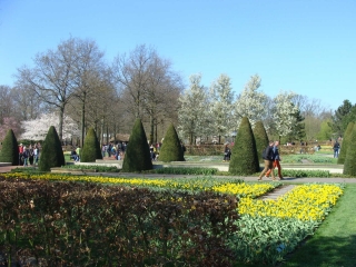 Keukenhof 2017 Boompjes