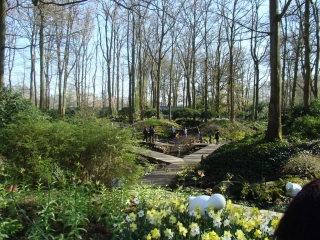 Keukenhof 2017 Bospad en brugjes