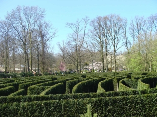 Keukenhof 2017 Doolhof