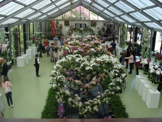 Keukenhof 2017 Hart Collage