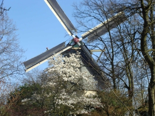 Keukenhof 2017 Molen 2