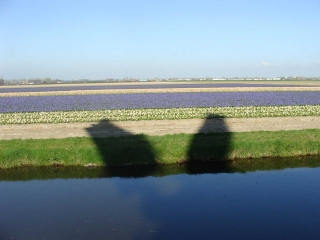 Keukenhof 2017 Molen schaduw en akkers