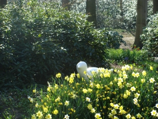 Keukenhof 2017 Zeemeeuw beeldje in bloembed