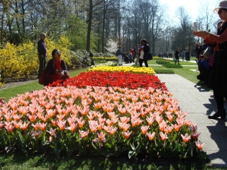 Keukenhof 2017 bloem bed 11