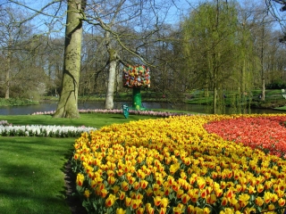 Keukenhof 2017 bloem bed 12