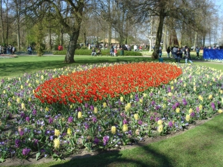 Keukenhof 2017 bloem bed 8