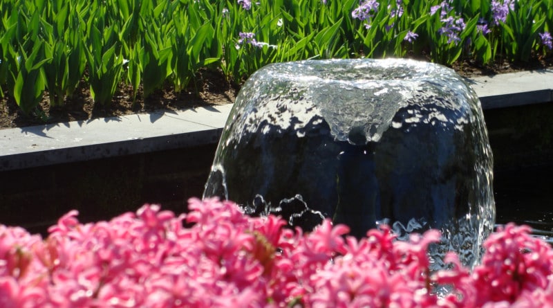 Keukenhof April 2017 viering 20 jarig huwelijksjubileum.