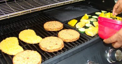 Veganistisch barbecueën onder een heerlijke zomerzon.