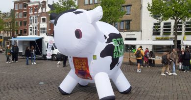 Vegan lentemarkt 2022 Groningen.