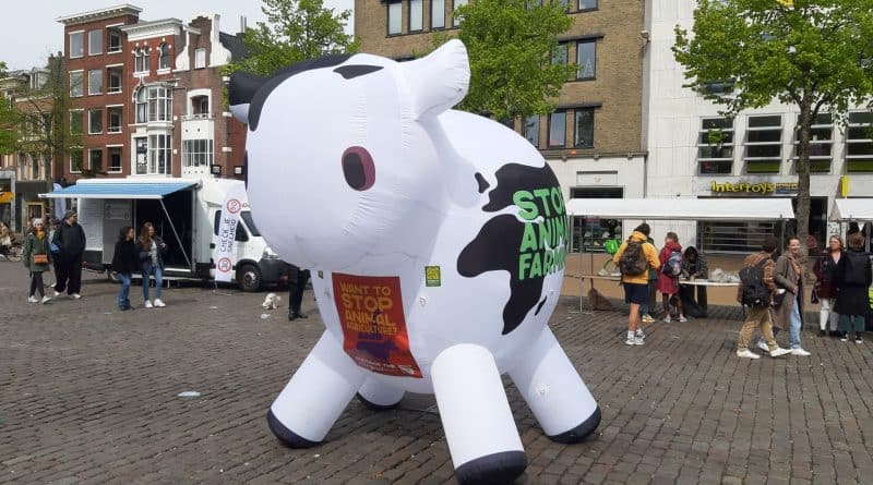 Vegan lentemarkt 2022 Groningen.